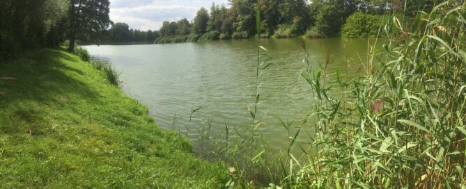 Blick vom Ufer auf den Generalsbergsee.