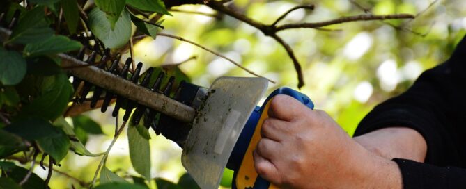 Eine Heckenschere wird in eine Hecke gehalten.
