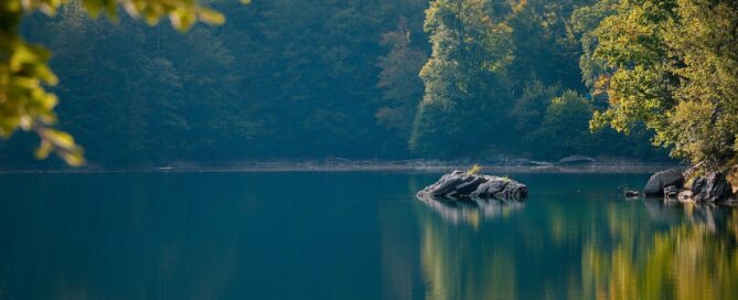 Blick durchs Laubdickicht auf einen ruhenden See.